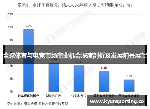 全球体育与电竞市场商业机会深度剖析及发展前景展望